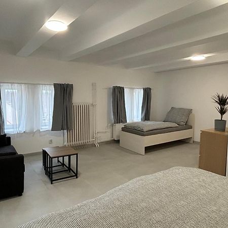 Apartmany Plzen Rolnicke Namesti 8 외부 사진