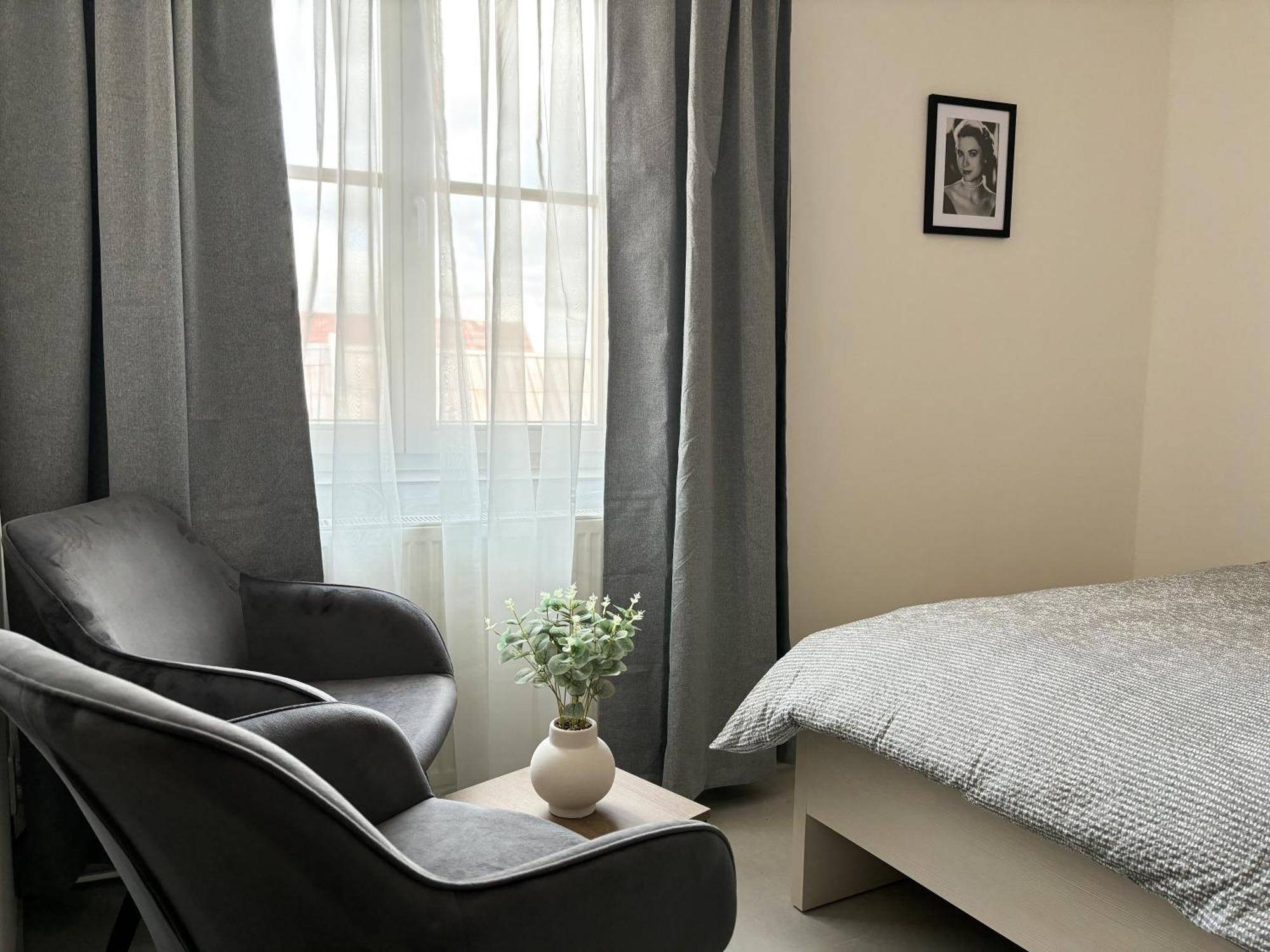 Apartmany Plzen Rolnicke Namesti 8 외부 사진