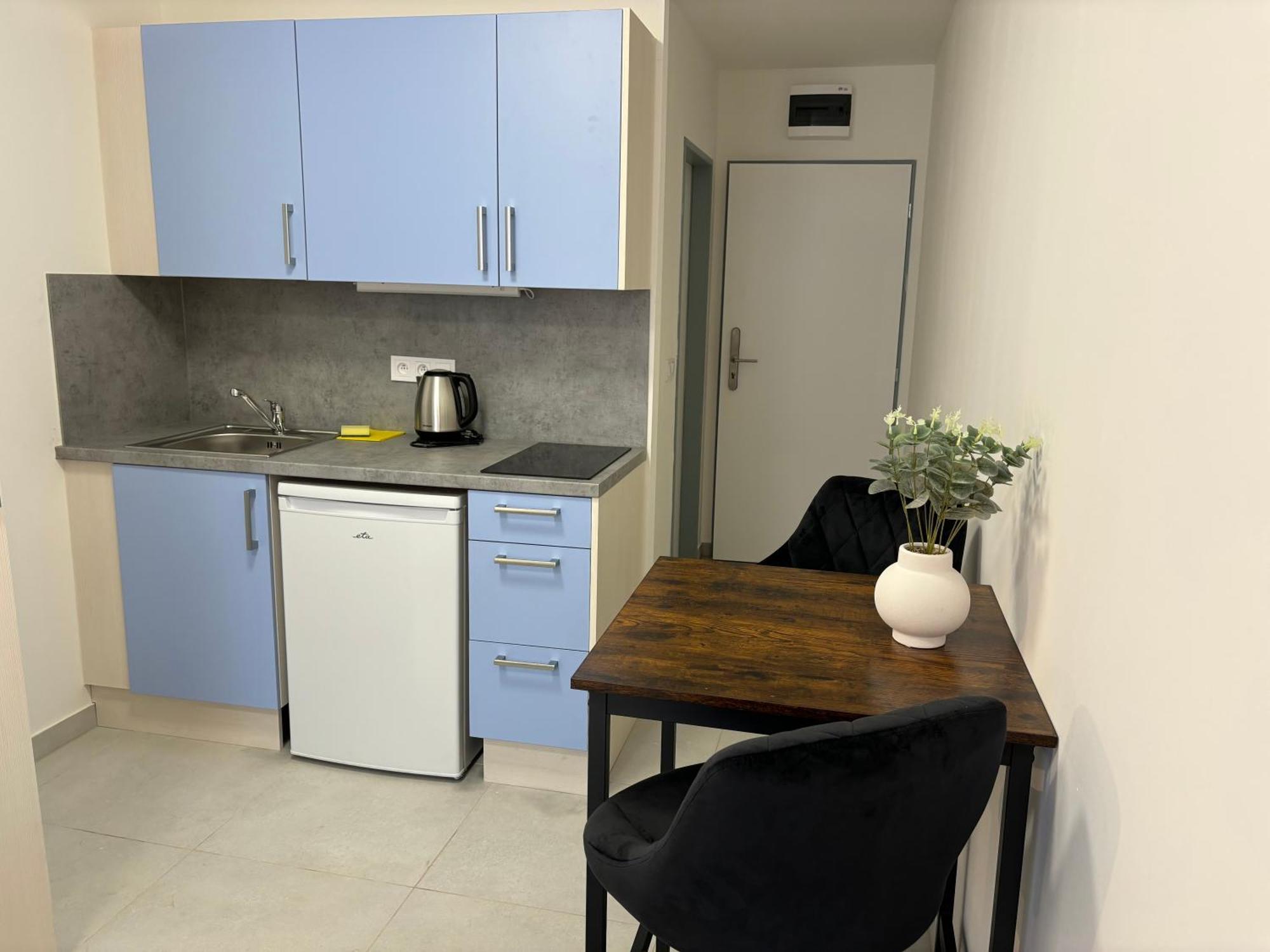 Apartmany Plzen Rolnicke Namesti 8 외부 사진