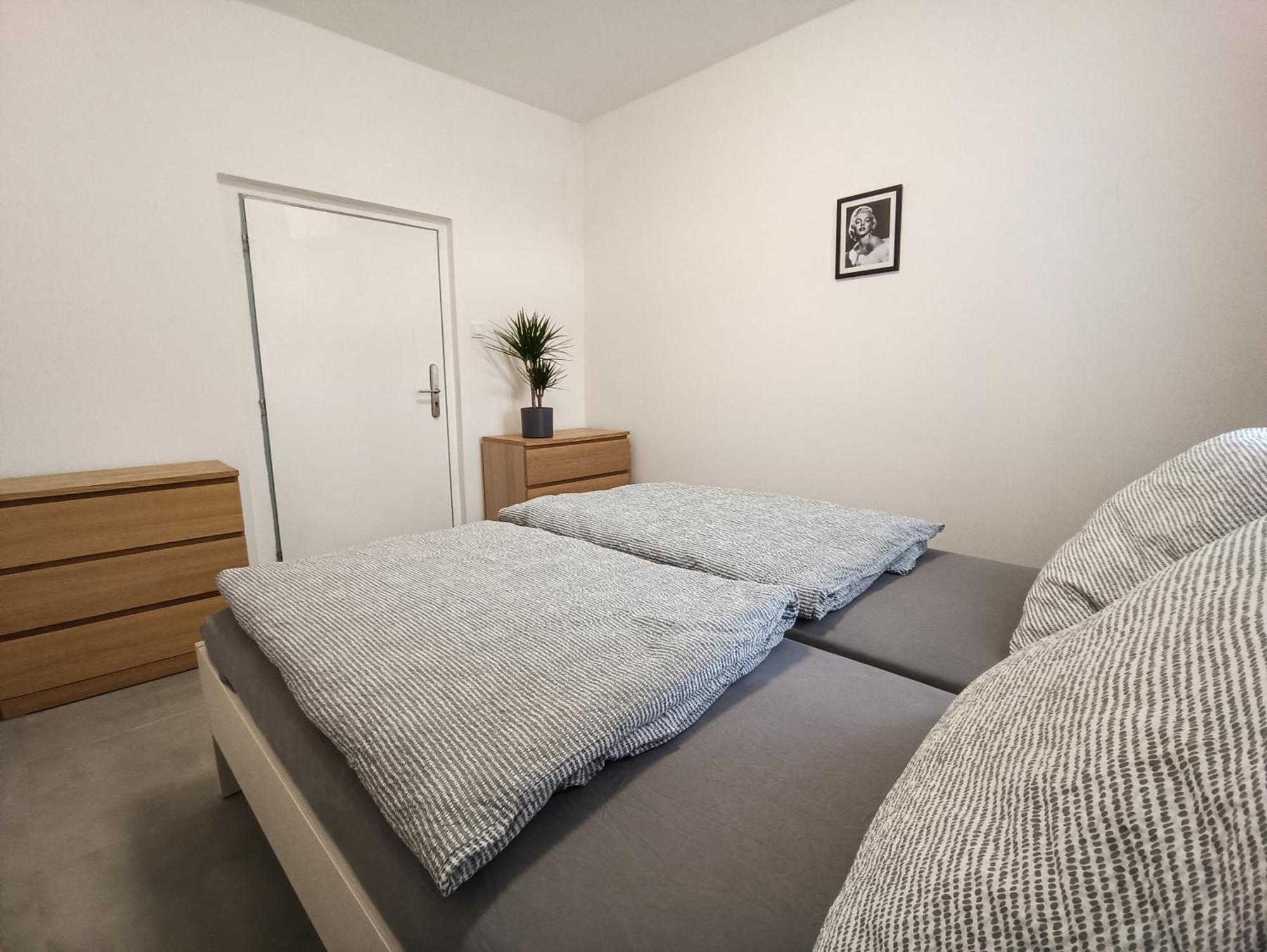 Apartmany Plzen Rolnicke Namesti 8 외부 사진